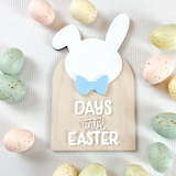 Bunny Countdown File