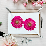 Flower Press - Print & Laser Files - Bundle